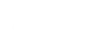 logo white